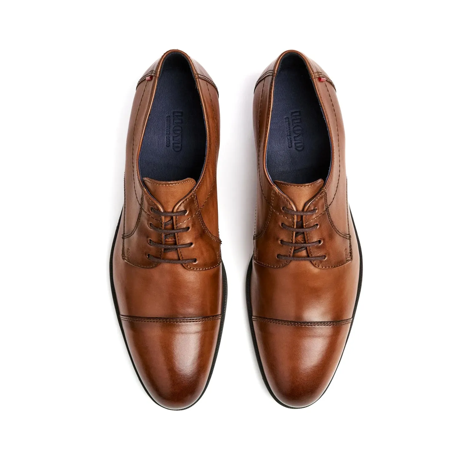 Lias - Brown