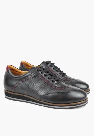 Princeton Black